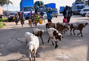 d3788e08d59f9082e8e9766f0146f8067c82a02798b0183550b931ca355ab98e