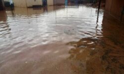 0c511322d1acebd9e484d3bd6a81749c253ff2ddffebe9b0e32ddb4028f68ccb