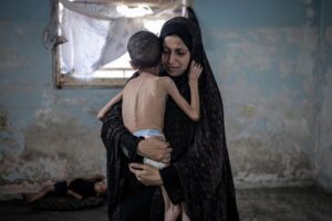 1754968051067 frz2pb 5338fe1ba00e748756348f739e5f0d1bc022656eb4fce64cab2b4c795e6edbb9