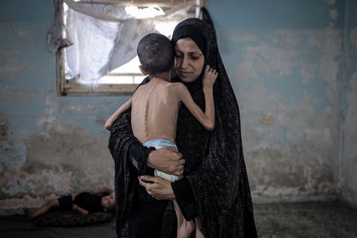 1754968051067 frz2pb 5338fe1ba00e748756348f739e5f0d1bc022656eb4fce64cab2b4c795e6edbb9