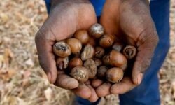 1756549719479 82u0ct cae3b46e4d1df2ef9ef8fdcf6ff39853d6b690f44a6a4859e658d02178ac4fd3