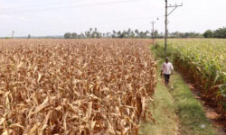 2025 06 05t110513z 1601568270 rc2lx6aie1n0 rtrmadp 3 usa trump tariffs india main