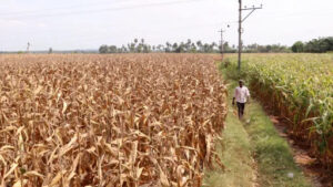 2025 06 05t110513z 1601568270 rc2lx6aie1n0 rtrmadp 3 usa trump tariffs india main