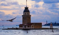 2d3733ef2d82ac487142b1bc0a9c2d57f876df028b2c019433619af5735f478d main