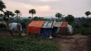 430d4c1a 2320 4e53 b2ba ff680bcf2a19 main