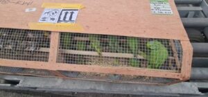 52bb8804bfa29fdb9482a1f8e812daf0f23d0faa324797ff566696fdb539a3b9