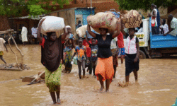 6656bb6cdaa23b887b6ad320dbb927197e30618d3f196c7fb6c533178bf3281f