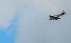 786d228e6ed37dcb5e0b0ddea612a0896535f5fa0e28e7c4758a9d96c9776c84