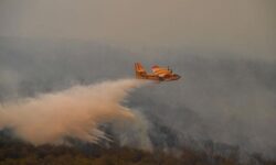 877ccea365e60a429726d775e26278f73f9e48f201efdcd9e14b28c371b42d0b