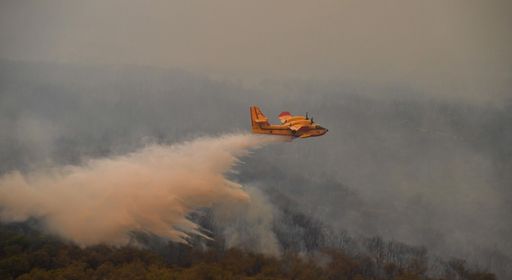 877ccea365e60a429726d775e26278f73f9e48f201efdcd9e14b28c371b42d0b