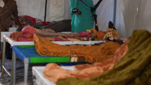 94634940db010797fe9f16ff9da23898d0d4463607f29e8188fa6c7ed7725da5 main