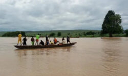 981ad9f5970b1b1e46e7e3ba10d6f1fecc8bc241f8936c026d7a5f818963827e