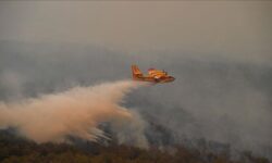 a5c2dedc1ca2ab7789cbb3c556f4a9e2622078207df9068ccd3e37c17fff052f