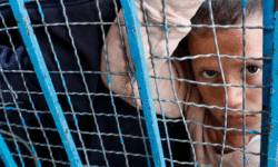 b417f2f21b50e5964165a4771f4efa4b086861e193c8bbc7c17cd73826dee321