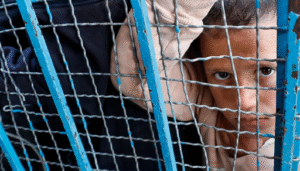 b417f2f21b50e5964165a4771f4efa4b086861e193c8bbc7c17cd73826dee321