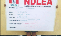 b61858786fa2ce442659b30771d4cf45486a949d6085d1f0a9a2fab8aba5194d