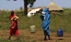 c248bd766d439157a03fbf61e3f3b86b7ed4a2e2bf88640d16d4d13afa9d1abb