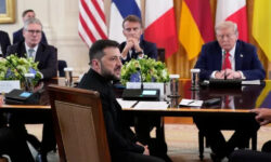 c51d1612f68367fde720600d8d1efe3f8d5d66bc1cd28644dbd38274f149c397