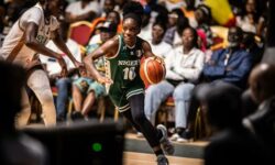 c537ca828c4bfe8c9d8b471dec5b4353b757ad01eacfdd8b603862573fd77865