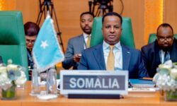 d2dac906576effb266f2c74905cf254b3f4bd99e43b494a82af086cf43809345