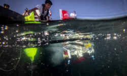 dd7311b0c8b6dec71ed3e20fb030846cab2b7bdd76137f4575c54629a4456bc0