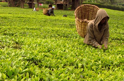 e9b35824d37315e84a7e3c7becebcdd2810110e20aeb68bef4617dbdefb304af