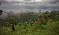 efbfd4d4d9a5f26463bb8cfe2f2d18d9b96a5d91d4b50ce2684a24321e4f0a91