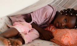 0d4324fbb89c8b96ad3f2ff4c62cd1c6967f20af36d322034f72dbef0cdf6f9d