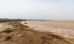 1756792144673 2uekrm b2c19a2871f8b64e52babae5458b686636314193de06c78833acae04f3b76b08 main