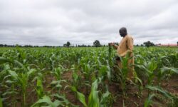 1758028029857 q6dkt 4bdb4af614875c2d0267728527d9618050a54f11c8493f2a3fc4aac33711c169