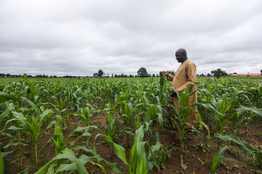 1758028029857 q6dkt 4bdb4af614875c2d0267728527d9618050a54f11c8493f2a3fc4aac33711c169