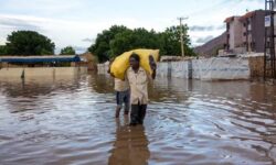 39247ad873597496924326e78c0020fe825e513752255a0fbb2ea8b5c1d41f50