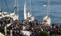 3b361a76b667f017a0ba511869d06bba7cd9dc3586979e8f68184e6655d0314f