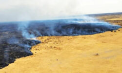 3d4259e6194b080e69b28fabf60ee83bcfcfb8272435ab7ff15b29ec4d69fb3f main