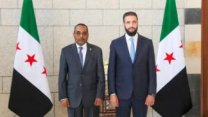 686ac0c6bd974e8827696f54fd61e1a5d2a151a3ab8814650b41157e94d66693 main