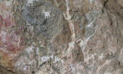 6c1940ed01bf0d770d6e19bbd9622fa44fb4b80734566c03e4ef46616949d6e4