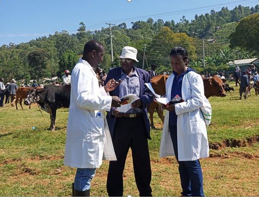 a2317934789a537063becdebf627c9f17ce102512ce70c871fcc16c9edafabc8