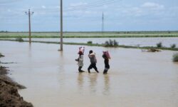 a6a9a00b1b4123c3bc5c81adc6e9cadb9806afca5f3c94f0de60ecb103139fef