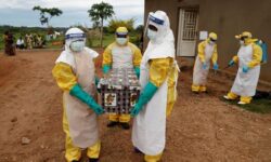 a9fa6061486b440da6f625d01ac83745dd1fb6a43ff5aa62ea720ff5a49e353a