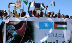 aee74fb18fcde8938993516c50e62dc43126a45bf4eb9ee3f5c6aa45dee27081