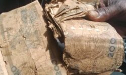 b103b587b88c982eb4acf695f6b239d67abf58cdfb533f886834408f631681f9