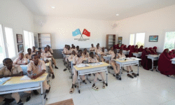 b65fb6b00e89a915ccddd2013ced42af710a44a778cf145e264f34e2447969b8