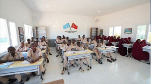 b65fb6b00e89a915ccddd2013ced42af710a44a778cf145e264f34e2447969b8