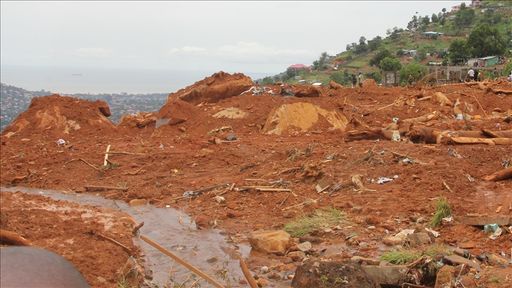 d225861066cb321036bbb140d46695e033d61d6ee6b5637698067d551cbf066d