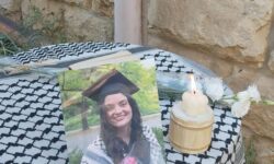 d313af13cfccbccf2ae0dcba27701a1057e9cf2a8a96fa67331cc3db017c2d20