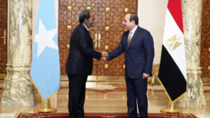 e3662dc71c41deeeb1dbd2f6f1ce3213dc90c1970a9d405b686b4fe3375b628b main