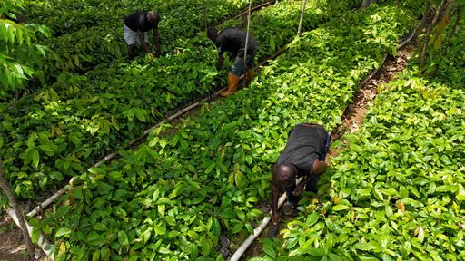 f4d9cd14e13c317a6e86b0a6e129c1a0e9a2798603a6d1fef648762de8956bf0