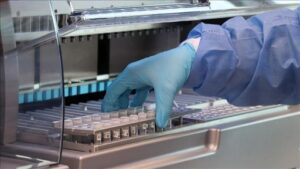 fb5c1eede99f3d237004b717ee34e726dca9fed262ff653f485de7f01fd8b04b