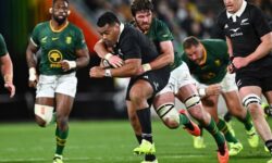 new zealand south africa rugby 03582