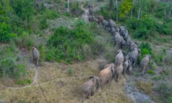 01d5c106f5e71934808682bf5a0667f1ba4caf2c90bffc42ea53a0a60e147d5f main